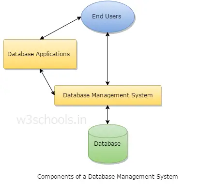 Components of a Database Management System