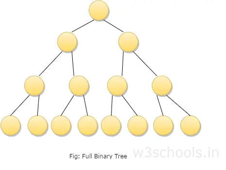 Full Binary Tree