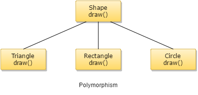 Polymorphism